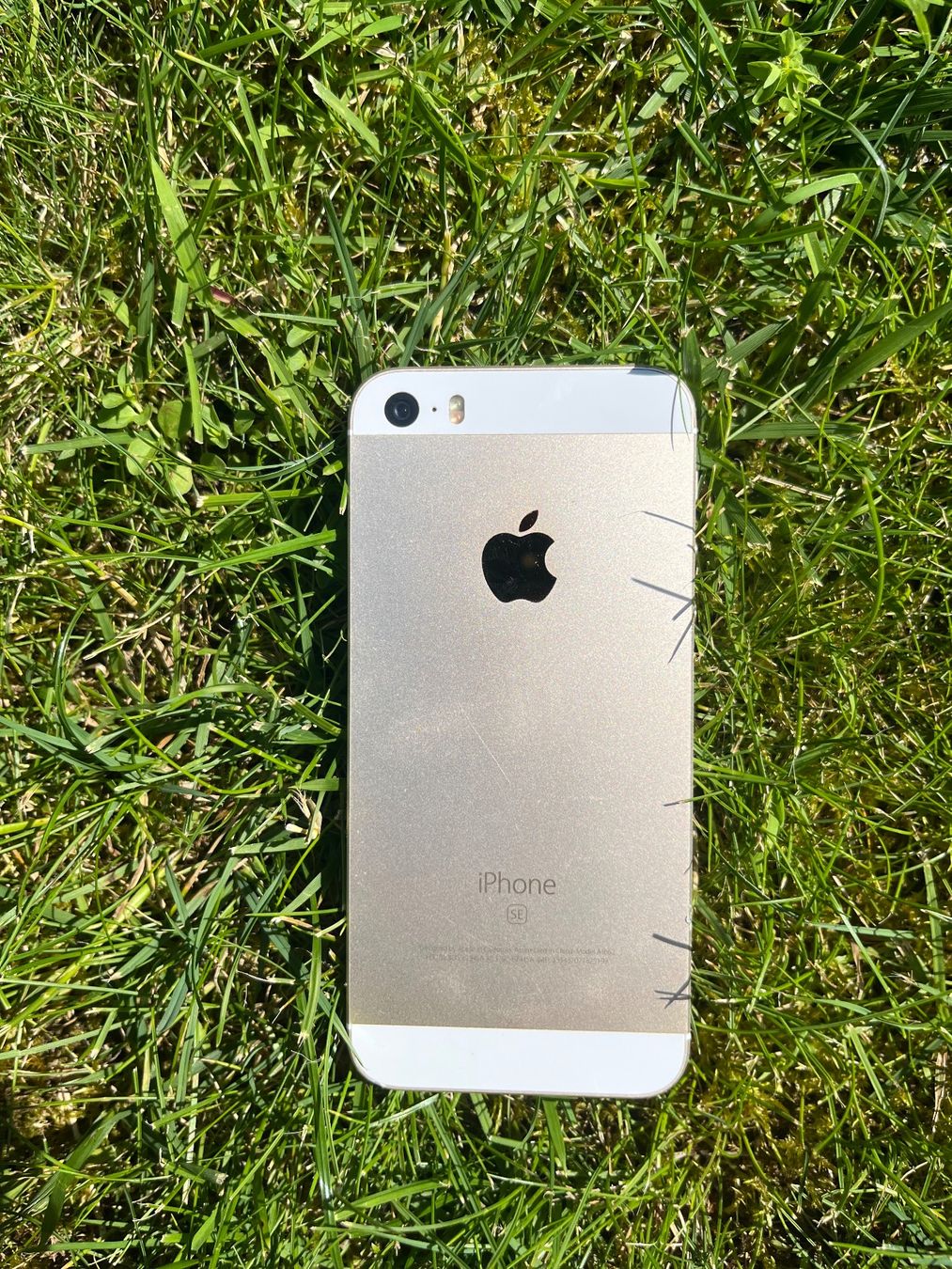 Apple Telefoni cellulari / Smartphones: Iphone 5S – Usato da Lenzburg venduto da r_mendes 3