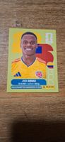 Panini FIFA WM 2026 COL 17