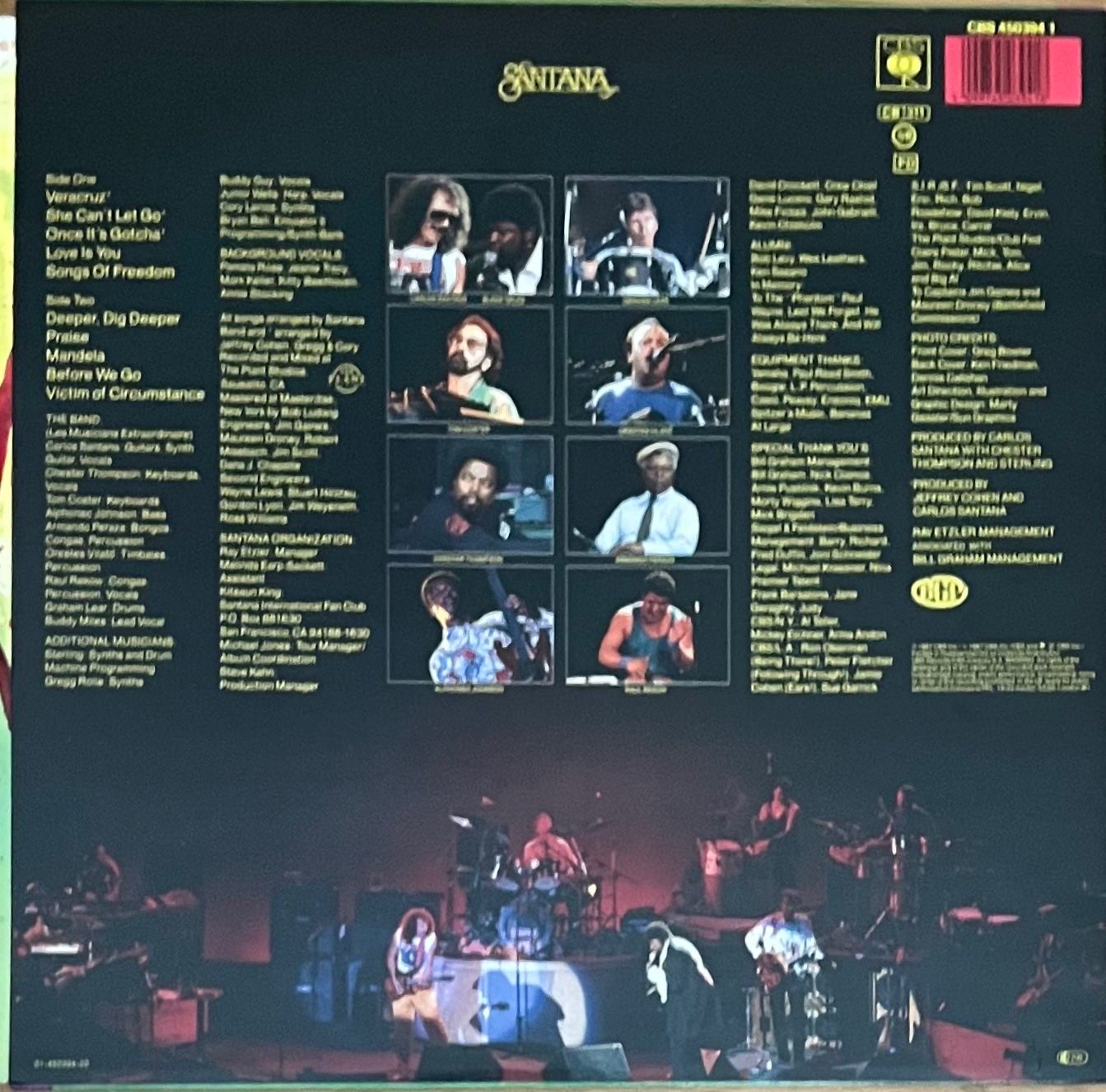 Dischi in vinile: SANTANA  -  FREEDOM    /   Vinyl - LP – Usato da Horw venduto da Belowzero0 1