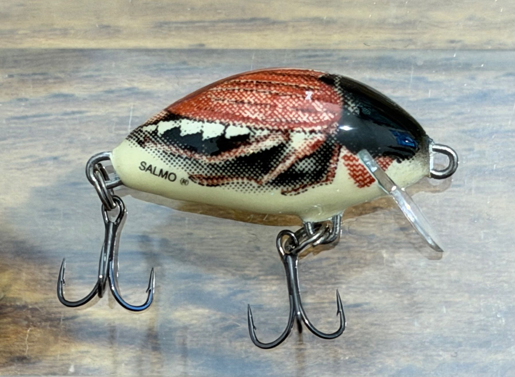 Esche: Salmo Floating Tiny 3 (Maikäfer-Wobbler) - 3 cm 2 gr – Nuovo e nell'imballaggio originale da Widnau venduto da Fishingtackle_Oggy