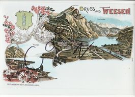 Gruss aus Weesen - (AK Lithoansicht um 1900 im Form. A4)