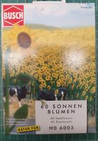 Bush 6003 Sonnenblumen(inhalt 60 Stk)