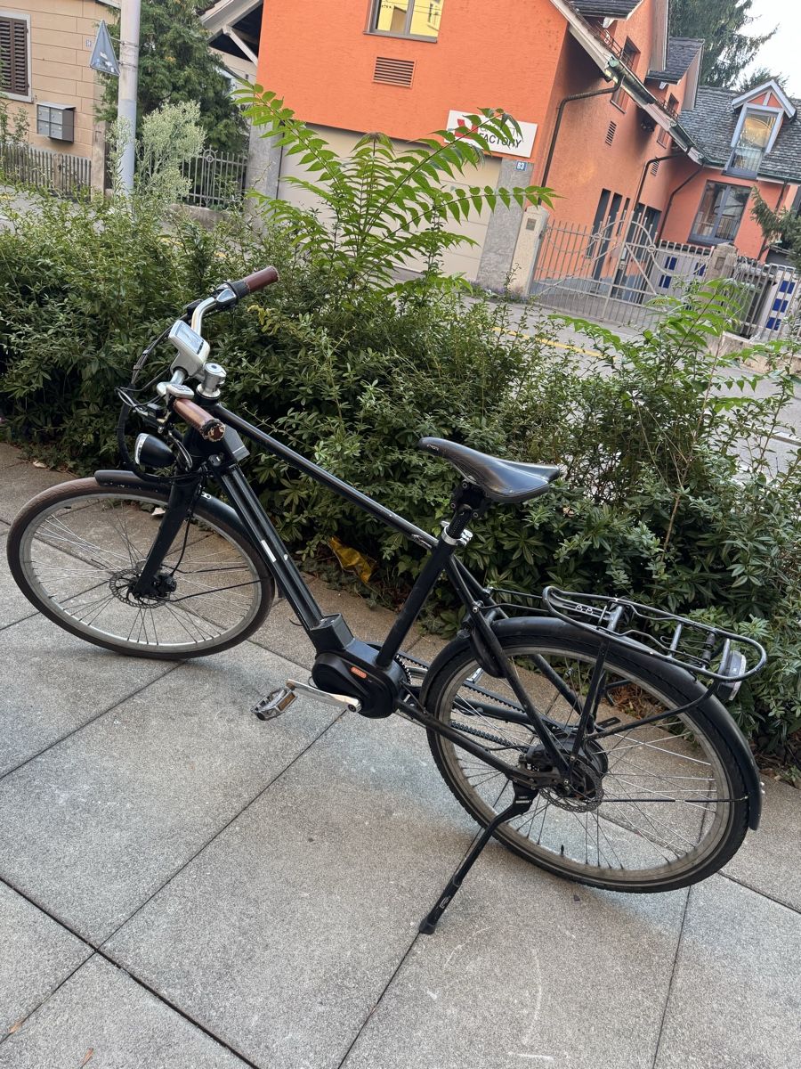 Biciclette: E-Bike Endiolo – Usato da Wil SG venduto da andi_aliaj