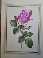 Bild Rose - Anne Marie Trechslin