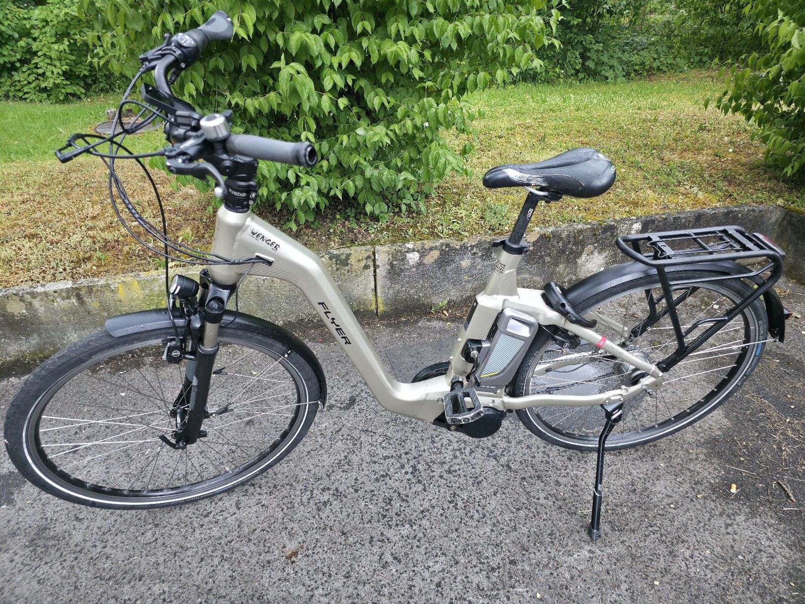 Flyer Biciclette: flyer gotour 5 batery defekt – Difettoso da Frick venduto da zij_86lw 3