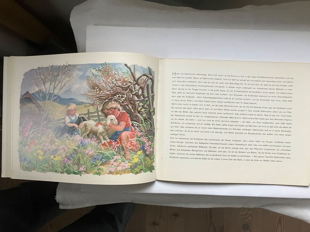 Die Geschichte von der Wiese Bilderbuch von Marianne Scheel (Gebraucht