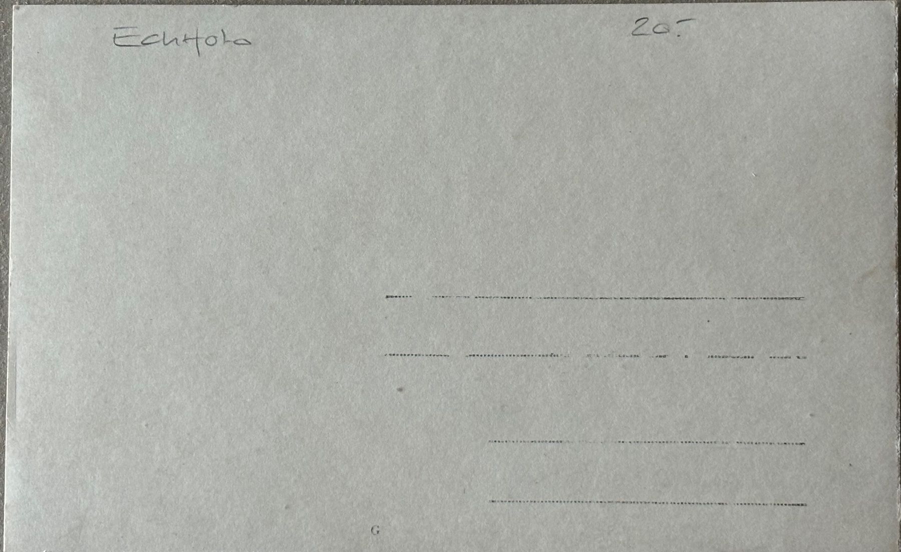 Cartoline postali: Echtfoto, Turnfest, Turnen – Usato da Frauenfeld venduto da Merk52 1