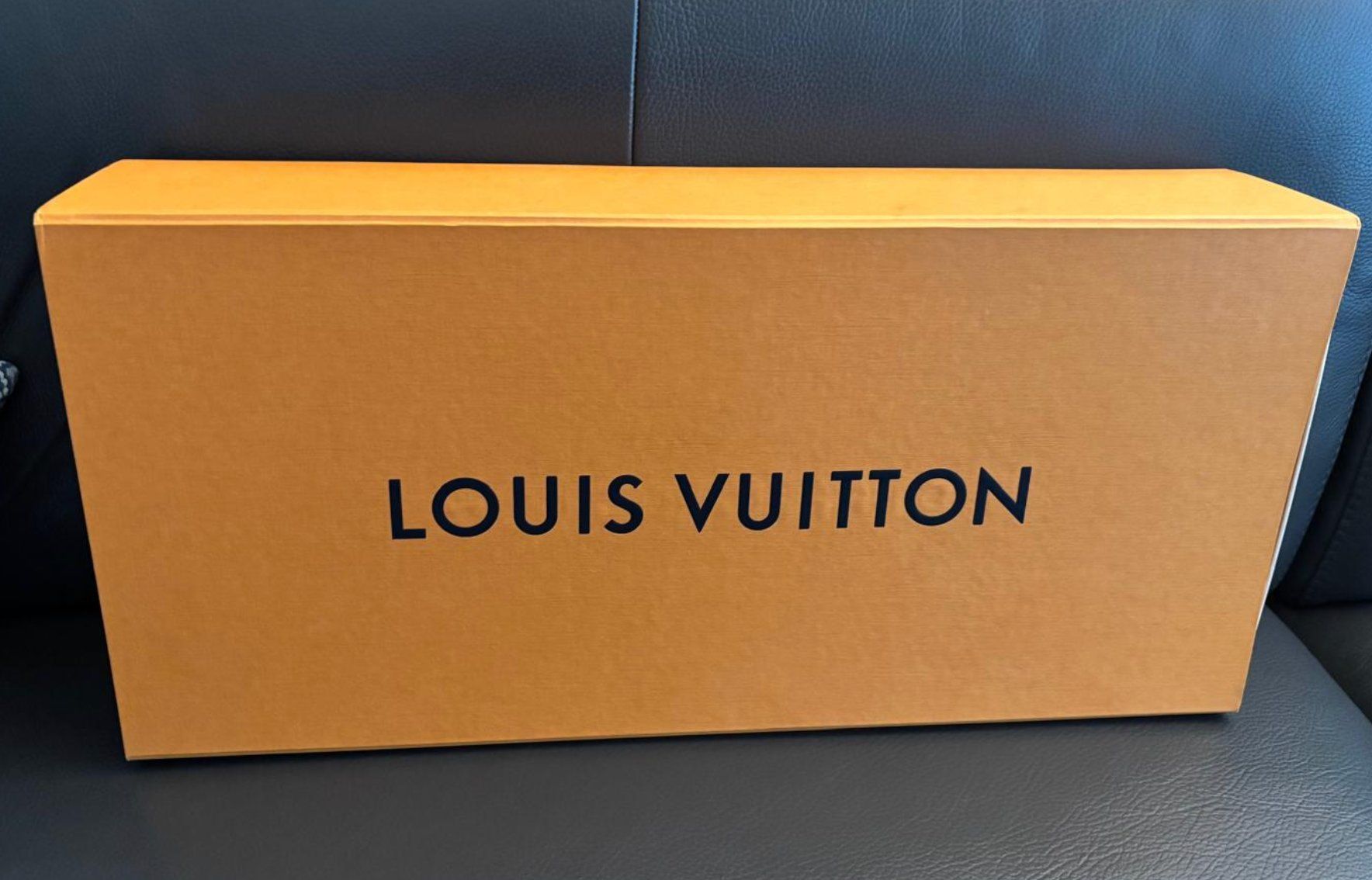 Louis Vuitton Borse: 💖 Louis Vuitton Box XXL – Usato da Steinhausen venduto da 2ndLove_Bag