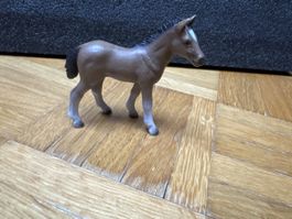 Schleich Fohlen 