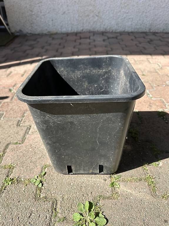 Pots de fleurs: Plastikpflanztöpfe – D'occasion à Azmoos par Hschafknecht