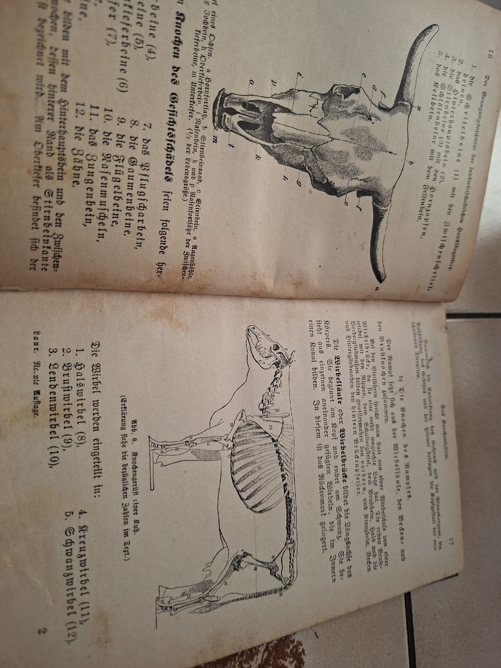 Libri: Bau und Leben – Usato da Meierskappel venduto da rigihans 3