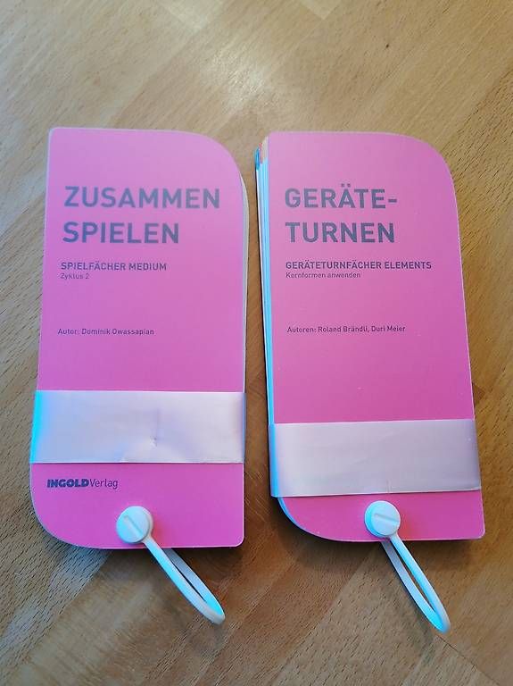 Bücher: Spielfächer und Geräteturnenfächer – Gebraucht aus St. Gallen von m_l_6qbp 1