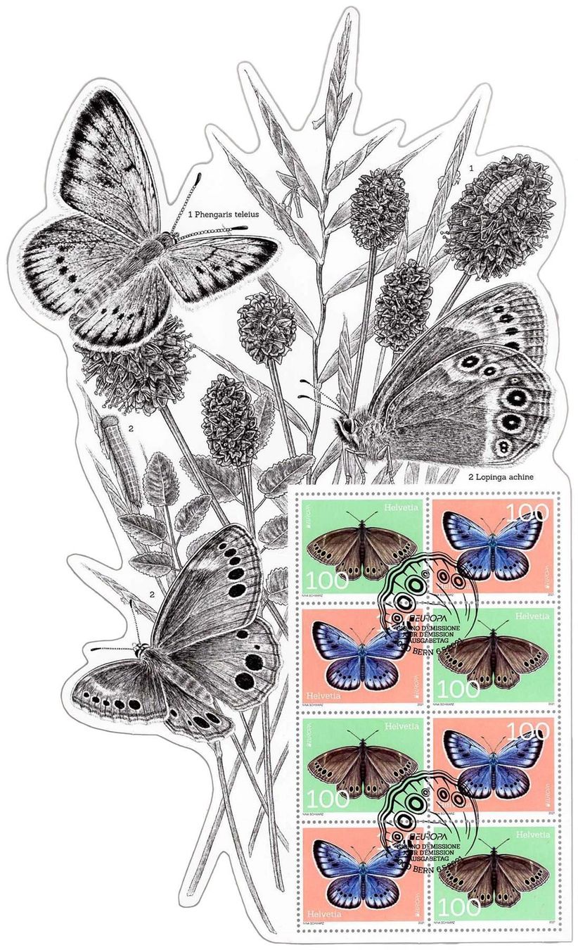 Alle Briefmarken: Spezialbogen Schmetterlinge Ersttag – Gebraucht aus Heerbrugg von Swissphila