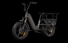 Hove CargoeBike/FamilienBike