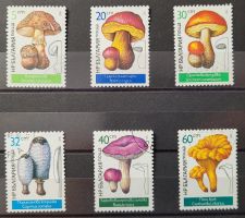 BULGARIEN – PILZE / BULGARIE – CHAMPIGNONS