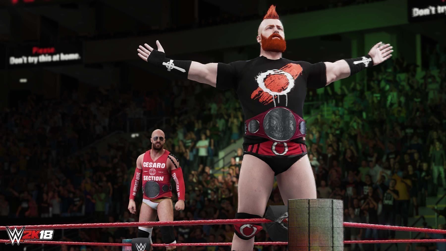 Microsoft Giochi: WWE 2K18  XB One – Usato da Schüpfheim venduto da Games_Spielkonsolen 6