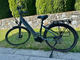Trelago E-Bike Glider 4 mit Tiefeneinstieg