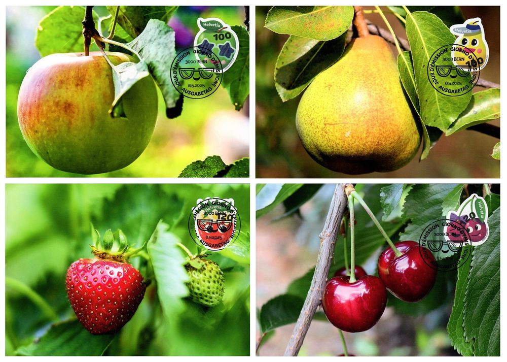 4 Maximumkarten Sommer - Früchte (Neu (gemäss Beschreibung)) in