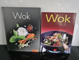 Wok Kochücher