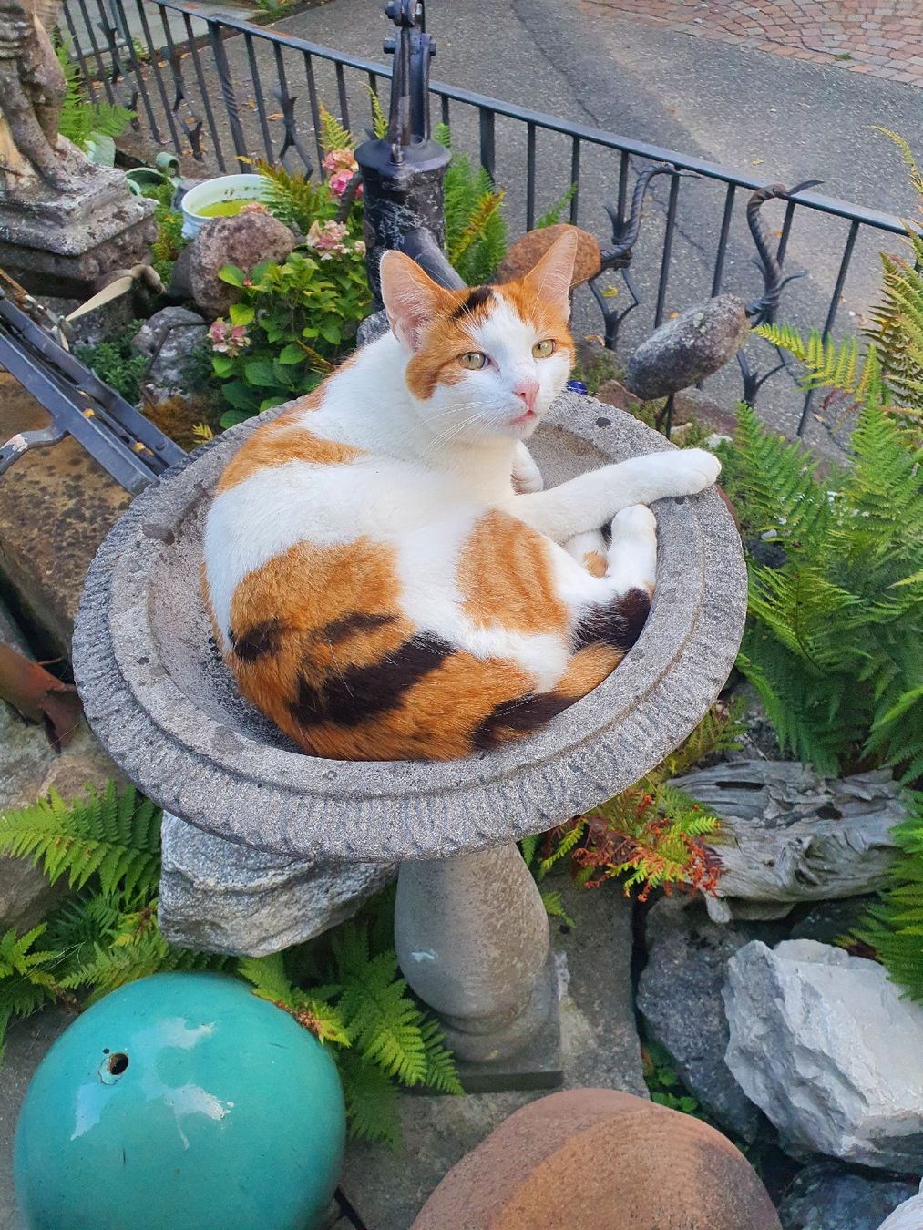 Bancs: Klassidche Gartenbank restauriert – D'occasion à Wangen b. Olten par Hecht62xyz 5