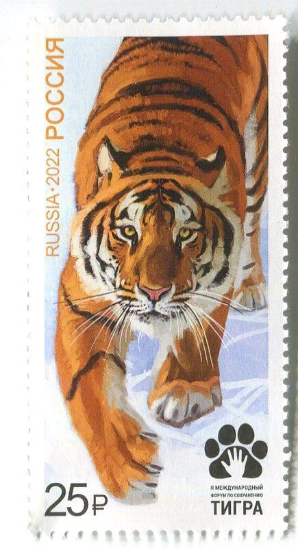 Alle Briefmarken: Briefmarke "Tiger". Russland. – Neu und originalverpackt aus Basel von Butsch5