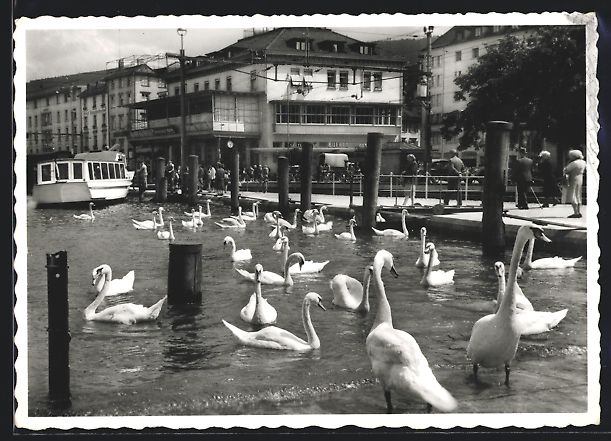 Cartoline postali: AK Rorschach, Hafen am Bodensee – Usato da Berlin venduto da bartko-reher