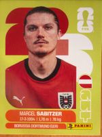 Panini AUT11