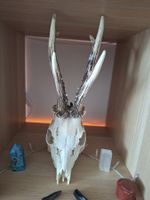 Reh Schädel mit Geweih Hirsch natur Dekoration