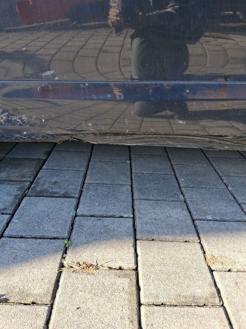 Renault Autos: Renault grand Scenic – Defekt aus Oberriet SG von rofesti 6