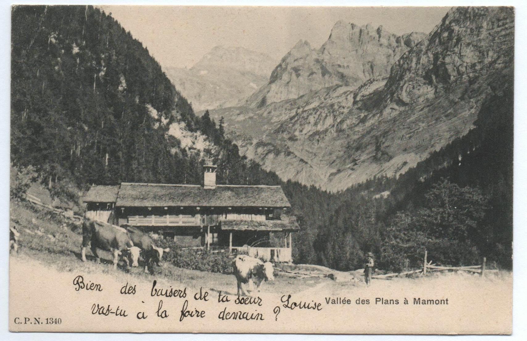 Ansichtskarten: LES PLANS-SUR-BEX Vallée des Plans – Gebraucht aus Jona von philajona