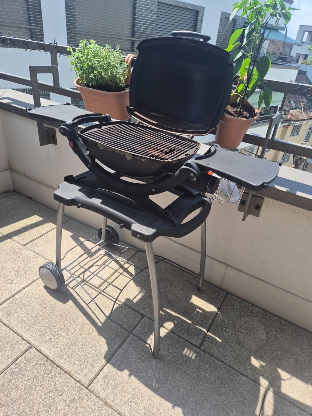 Weber Griglie: Weber Gasgrill Q1200 + Rollwagen + Abdeckung – Usato da Zürich venduto da Daniel_1983 1