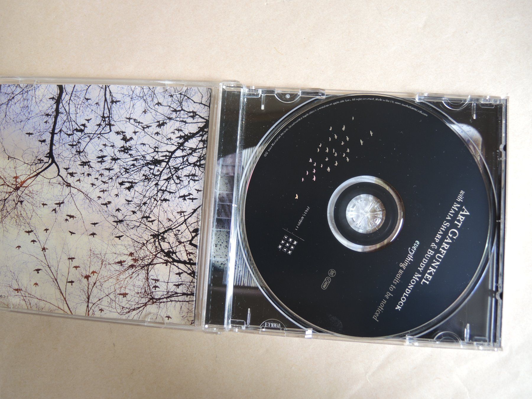 CD: Art Garfunkel Everything Waits To Be Noticed CD – Usato da Rorschach venduto da maeck8 1