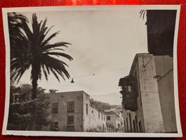 rare Original-Foto Palma 1960