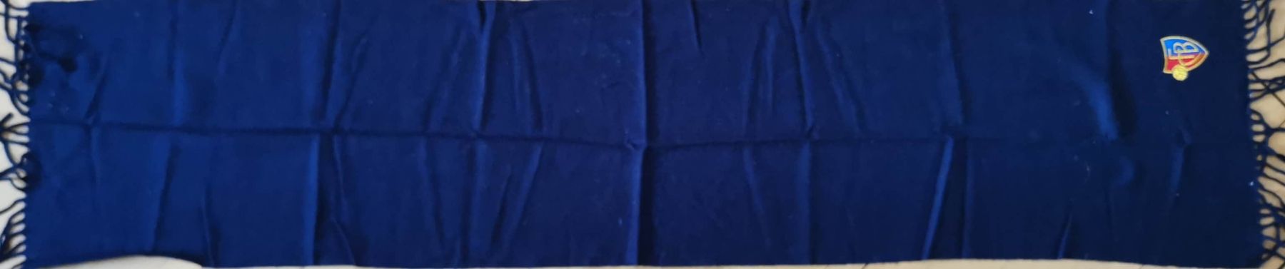 FC Bâle Foulards & écharpes: Fanschal FC Basel – Neuf (Voir description) à Bern par Libre_raria