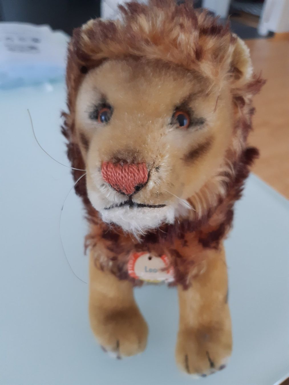 Steiff Jouets: steif – D'occasion à Altstätten SG par Gartenmeister60 3