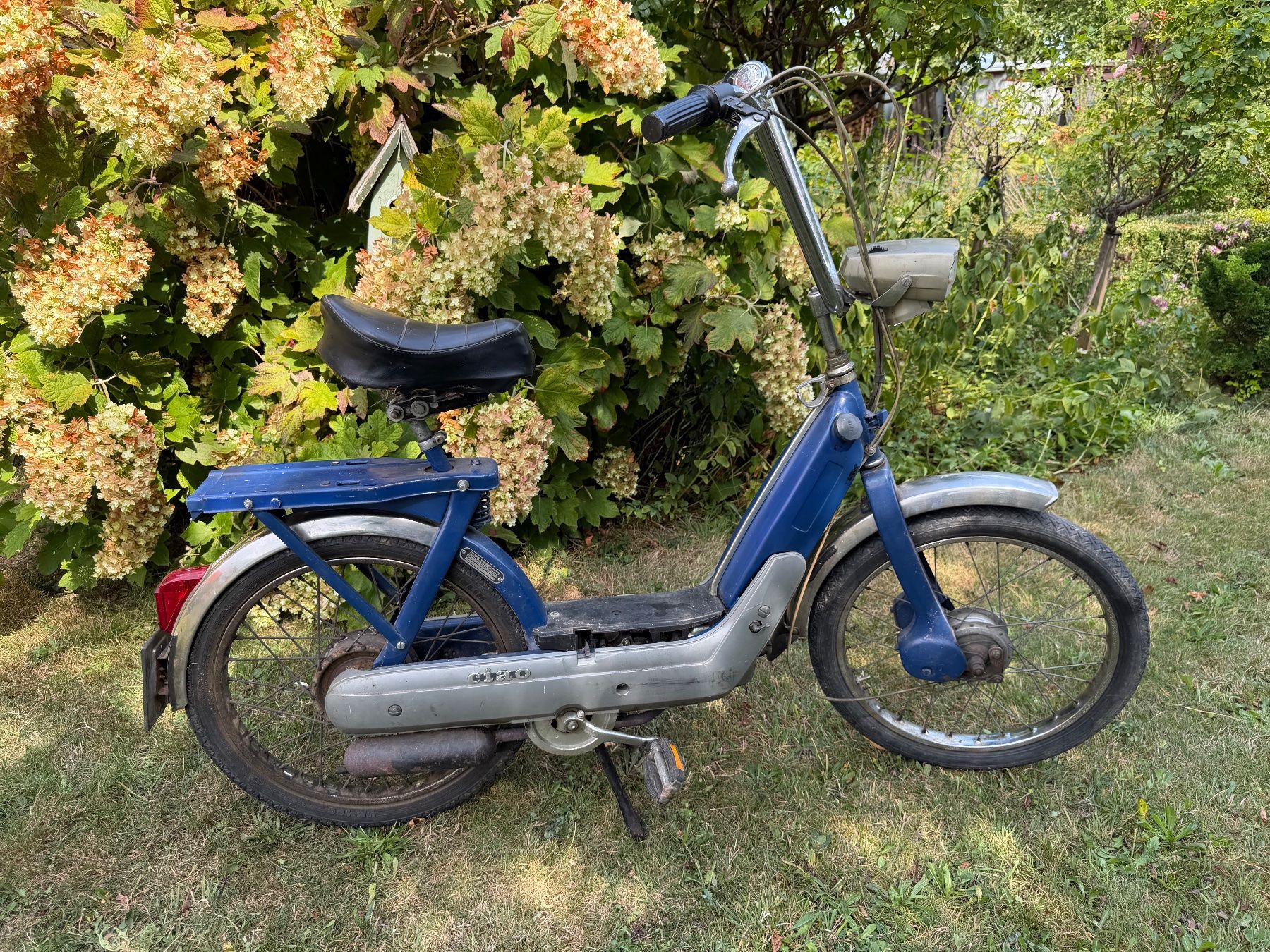 Piaggio Ciclomotori: Mofa Ciao – Usato da Goldach venduto da Flameflower 3