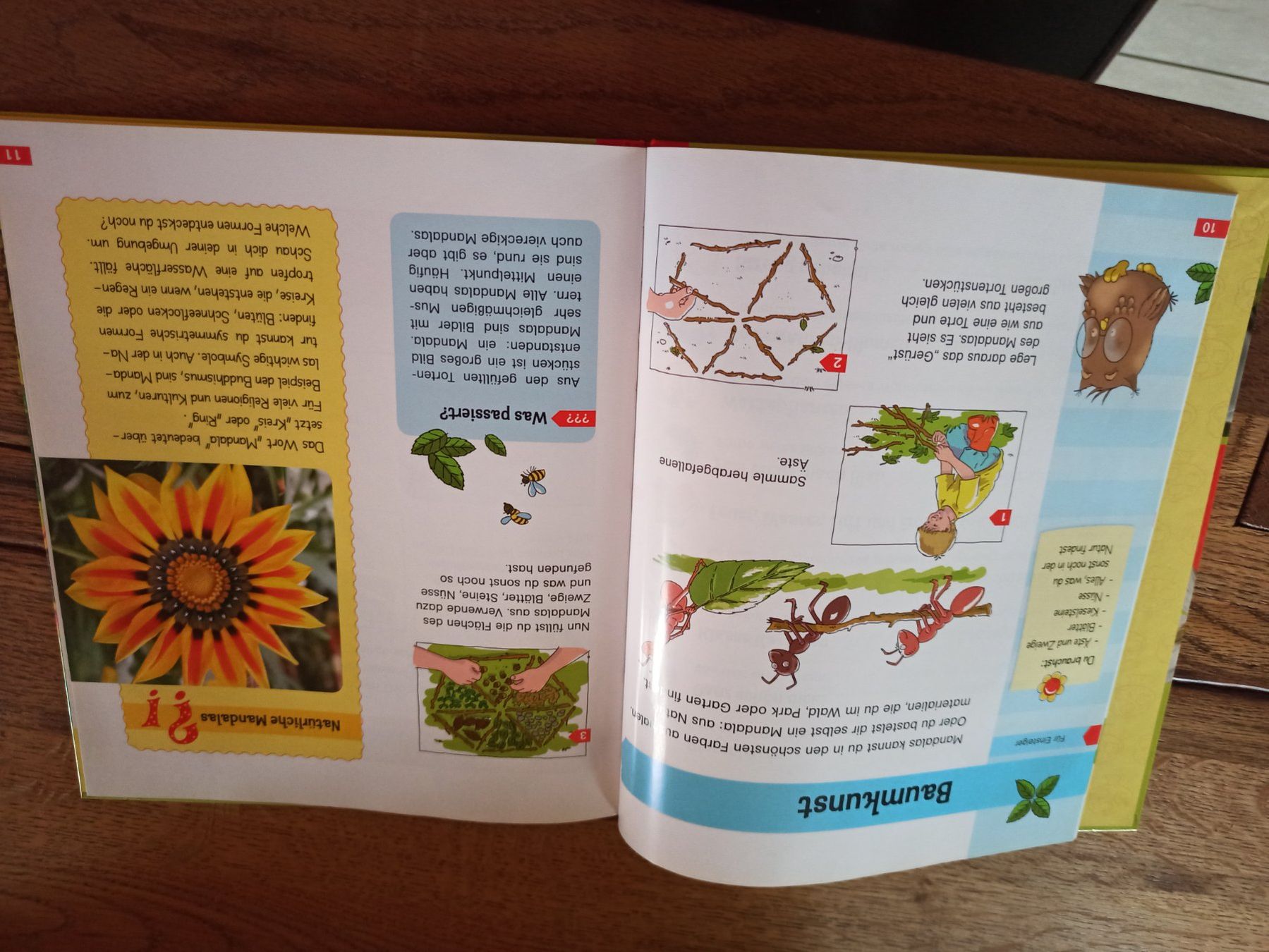 Bücher: Buch Experimente rund um die Natur – Gebraucht aus Niederwil AG von Nioc28 1