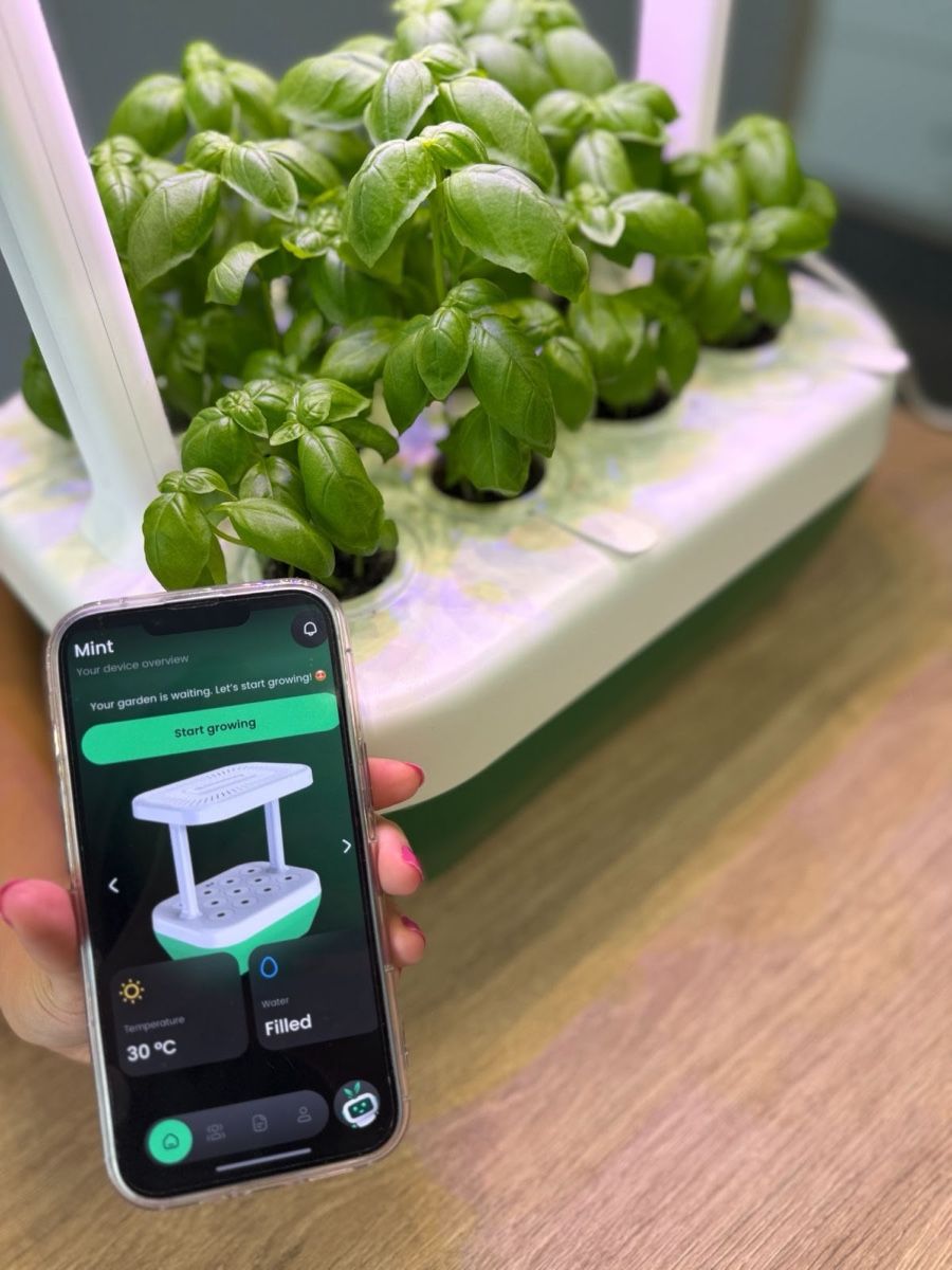Altro: GrowBorg indoor AI-driven garden – Nuovo (secondo la descrizione) da Zürich venduto da Interactions 1