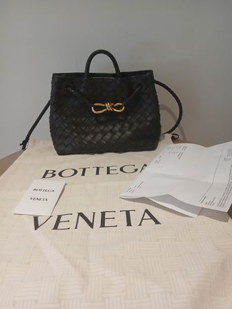 Bottega Veneta Andiamo petit modèle 
