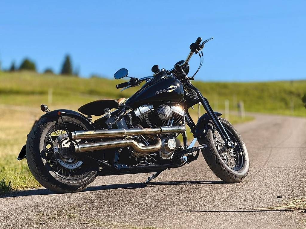 Harley-Davidson Chopper: HARLEY-DAVIDSON Chopper FLSTSB Cross Bones – Gebraucht aus Aeugst am Albis von Svenii02 1