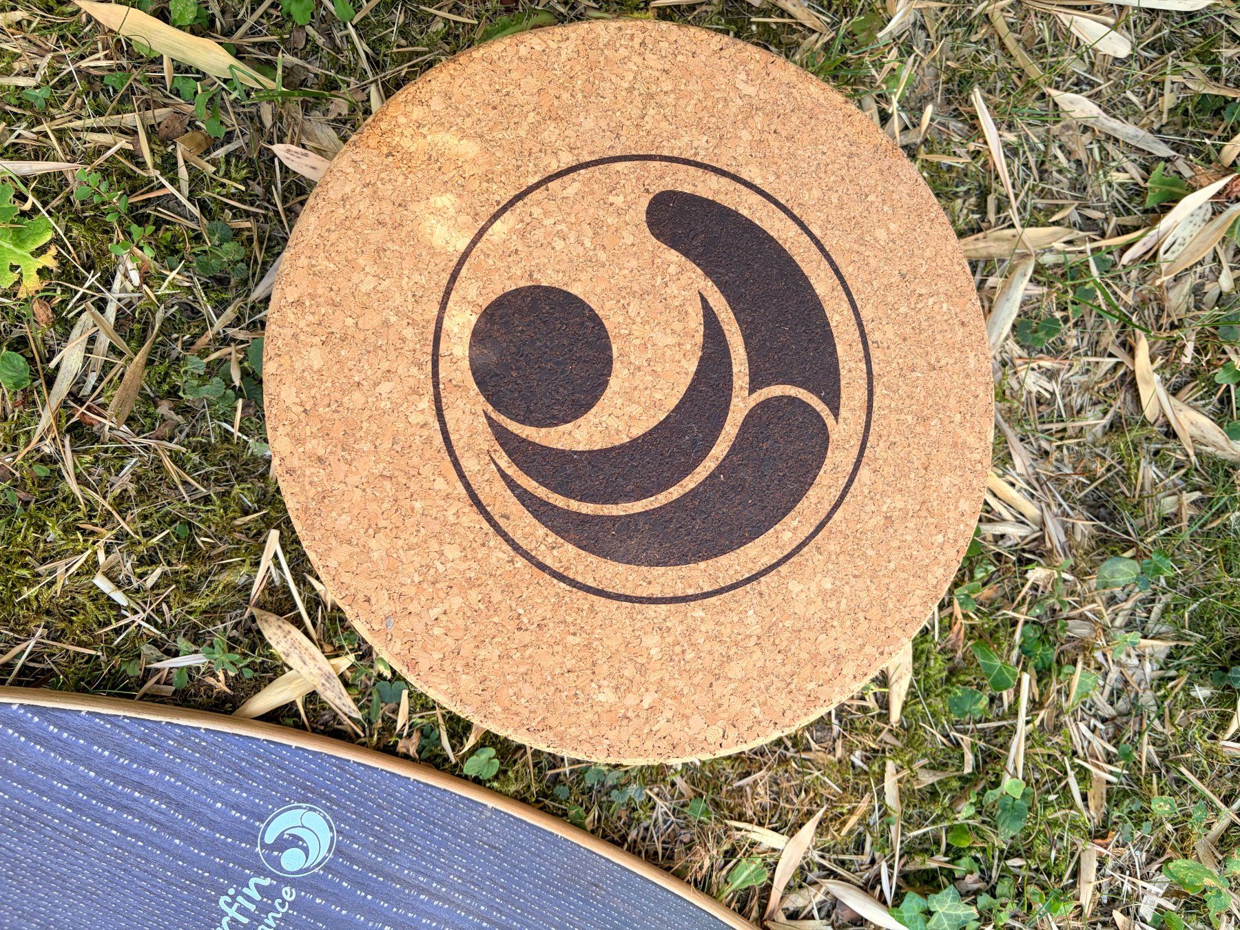 Hometrainer: Surfin Balance Board das Original – Usato da Männedorf venduto da andreamaria01 2