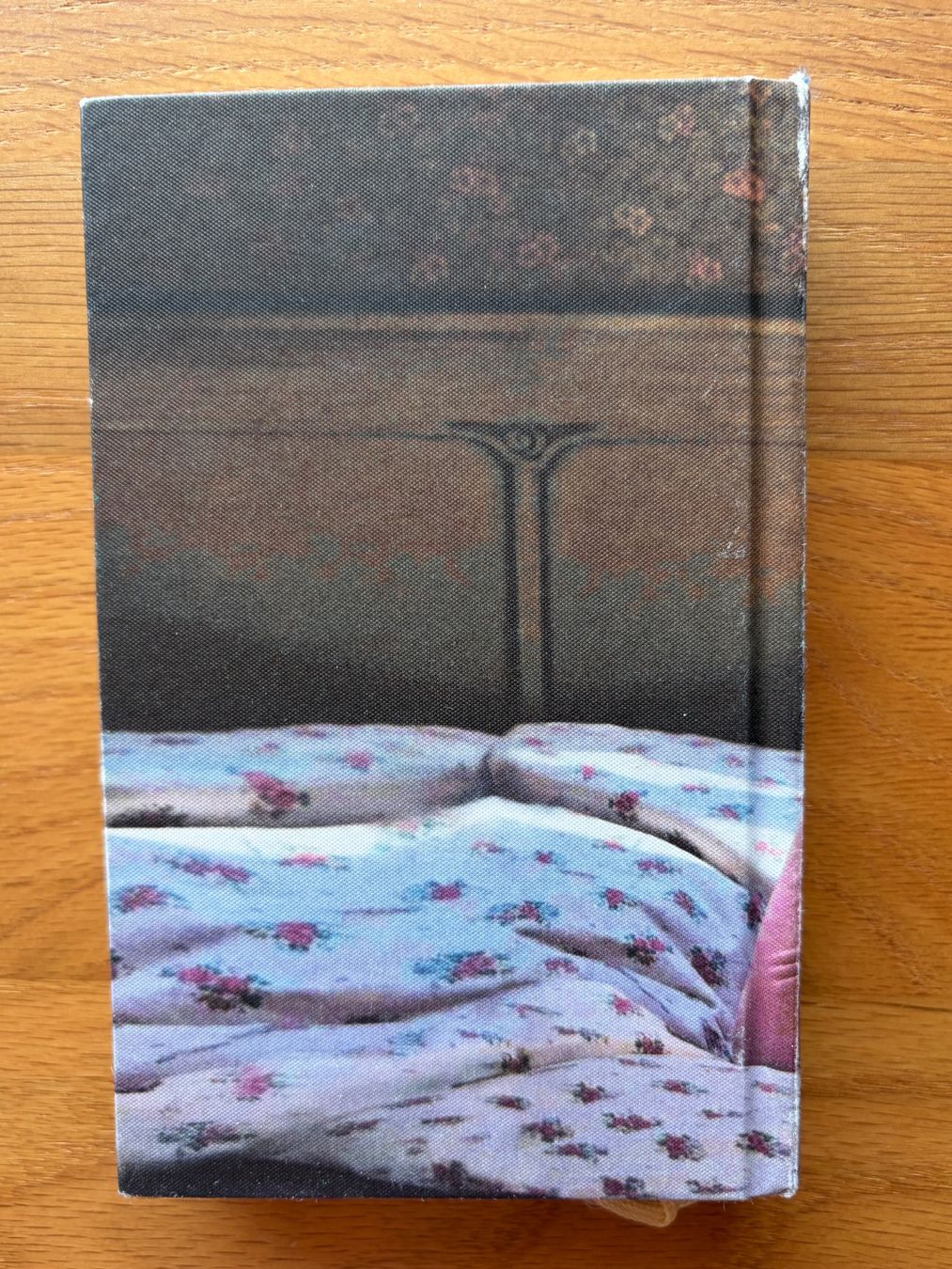Bücher: Der Vorleser - Berhard Schlink – Gebraucht aus Vallamand von hed_qx6n 1