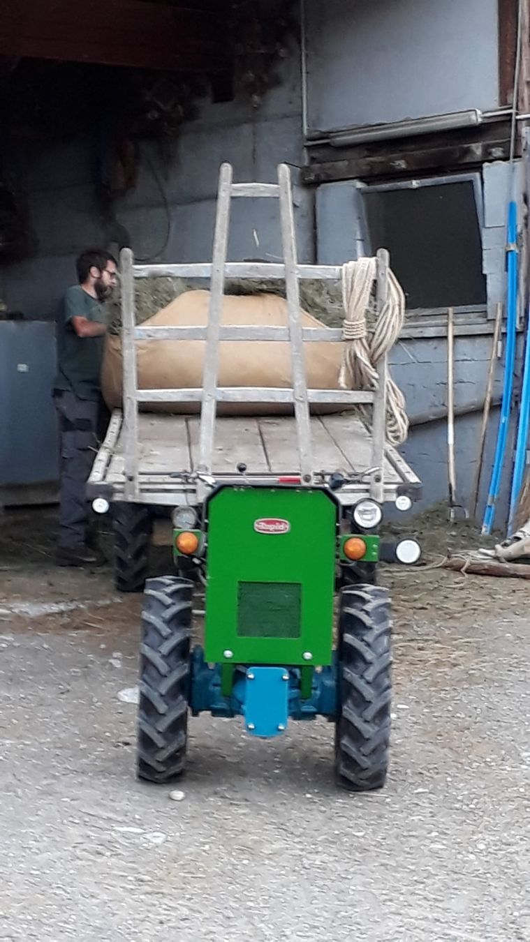 Rapid Trattori: Rapid Spezial Slanzi Dieselmotor Orginal – Usato da Tschlin venduto da jer_gf9z 3