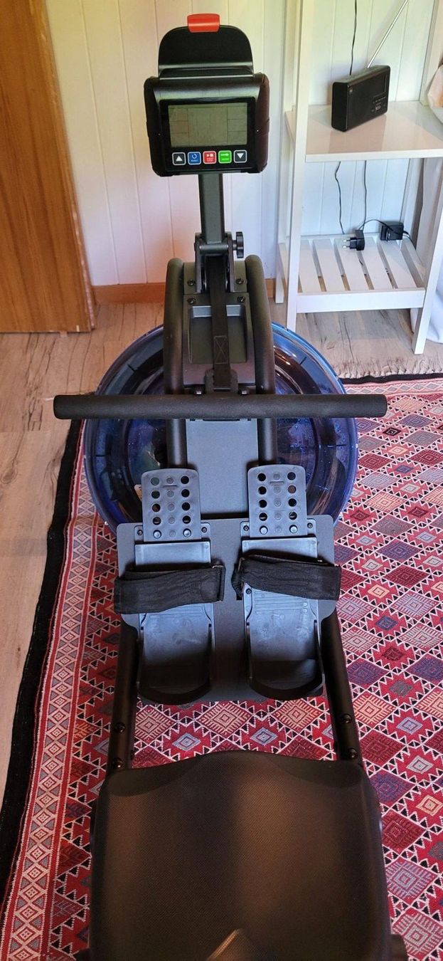Hometrainer: Maxxus Ruder Maschine – Usato da Madiswil venduto da Cabarnet