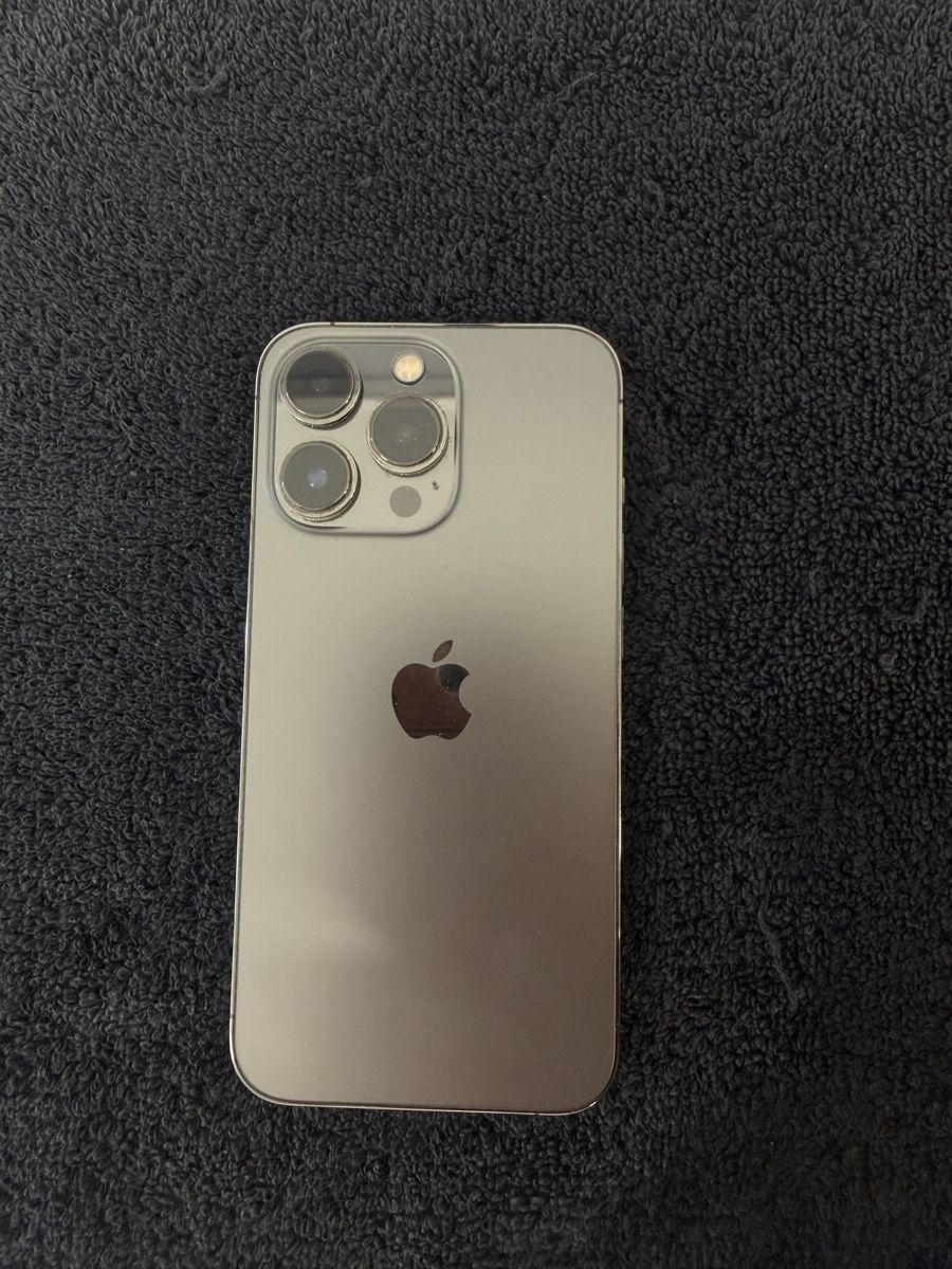 Apple Telefoni cellulari / Smartphones: iPhone 13 Pro ab 1.- – Usato da Chur venduto da DemianCasanova 1