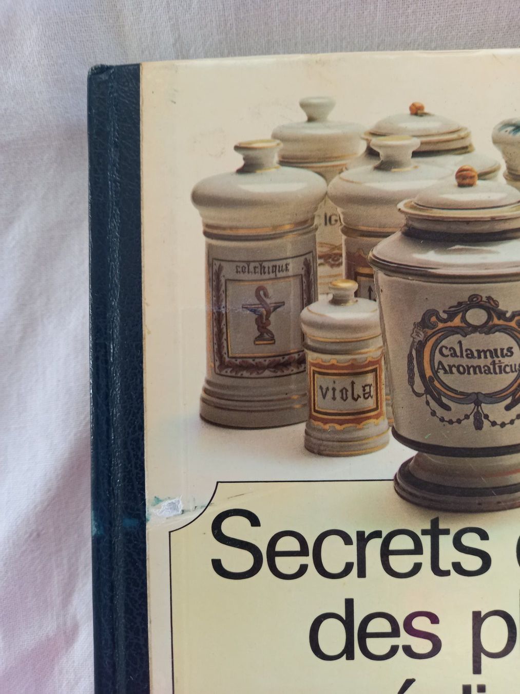 Libri: Secrets et vertus des plantes médicinales, Reader's Digest – Usato da Rossens FR venduto da Souris1 1