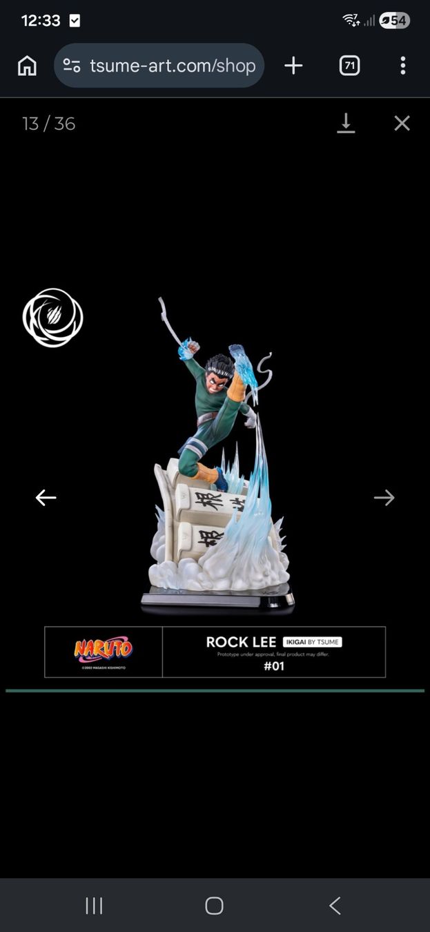 Skulpturen & Statuen: Tsume Rock lee – Gebraucht aus Le Noirmont von Kyubi130696