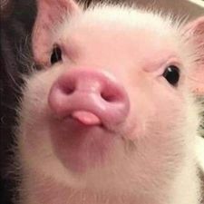 Profile image of ant_7djw