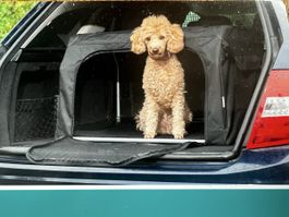 Hunde Transportbox faltbar