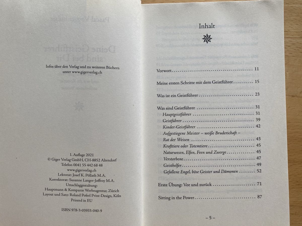 Libri: Deine Geistführer sind bei Dir - Pascal Voggenhuber  – Usato da Schwarzenburg venduto da Michellu 6